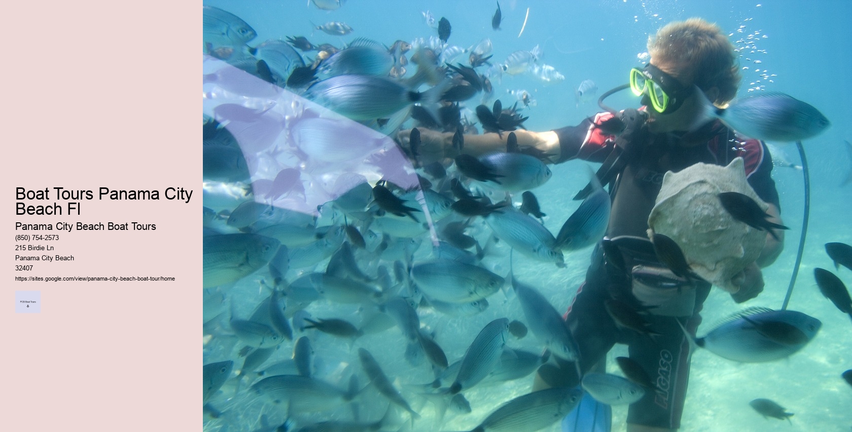 Boat Tours Panama City Beach Fl