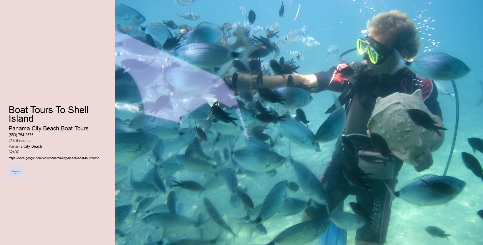 Boat Tours To Shell Island