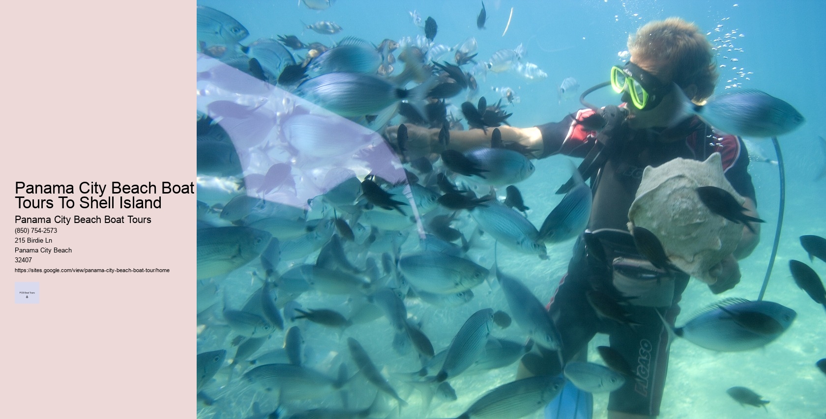 Panama City Beach Boat Tours To Shell Island