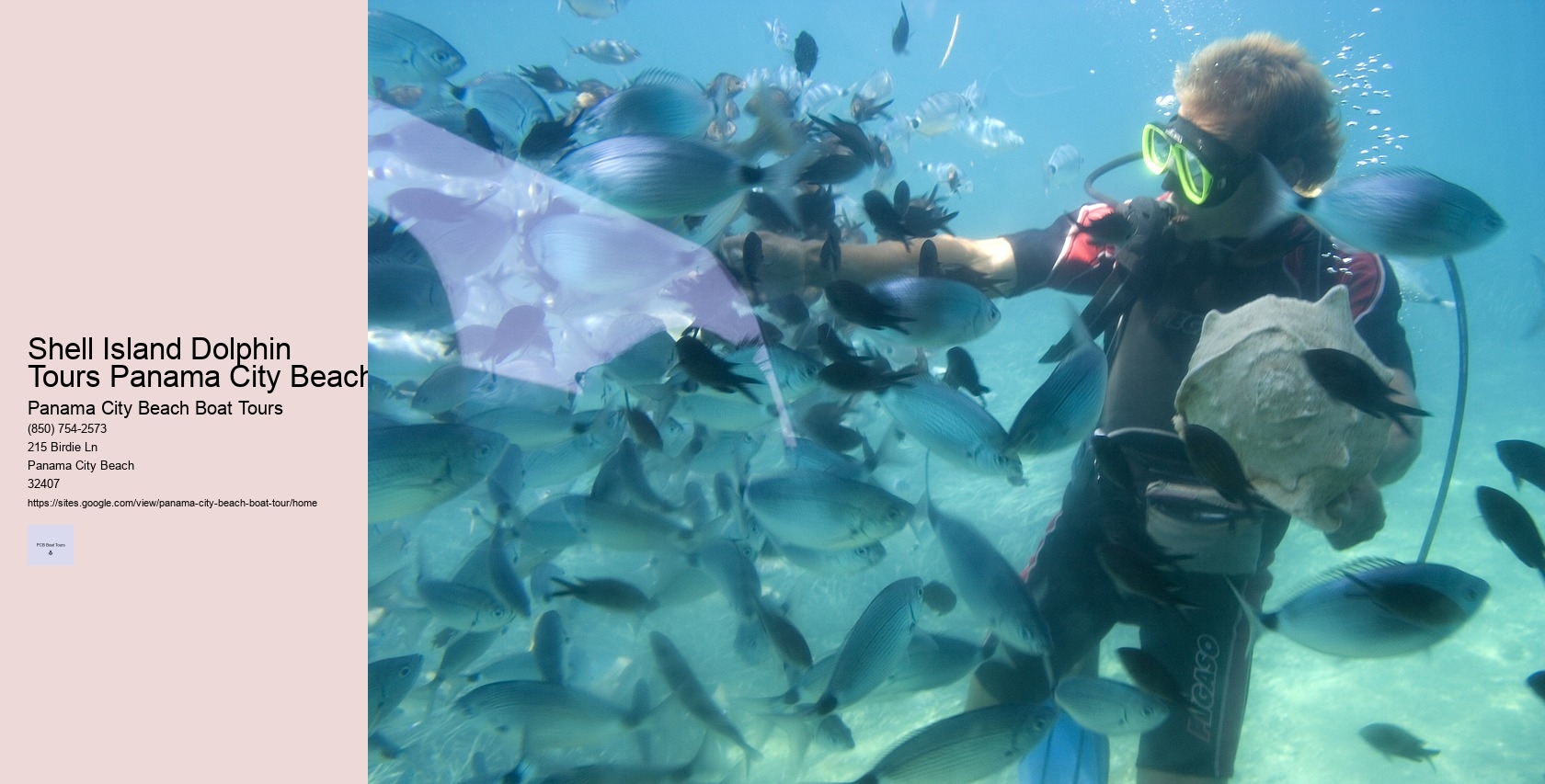 Shell Island Dolphin Tours Panama City Beach